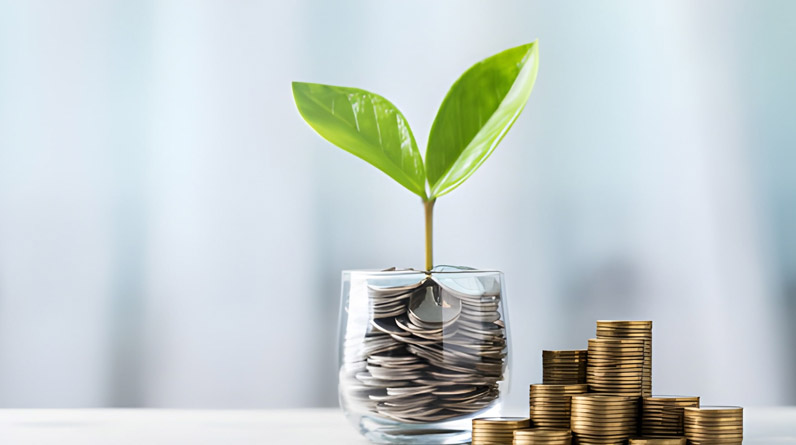 Beginner’s Guide to Investing in 2025 Beginners Guide to Investing