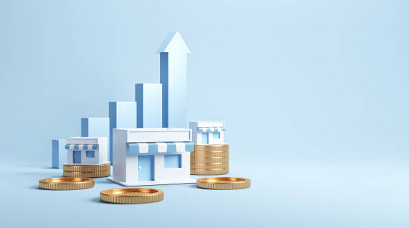 The Five Stage Scaling Framework The Five Stage Scaling Framework