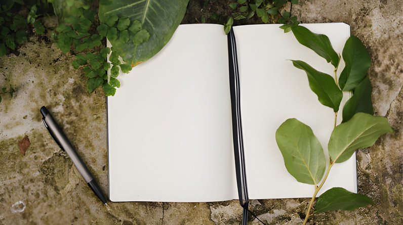 Sustainable Journaling Practice