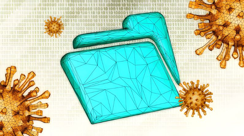 The Complexity of File Infector Removal